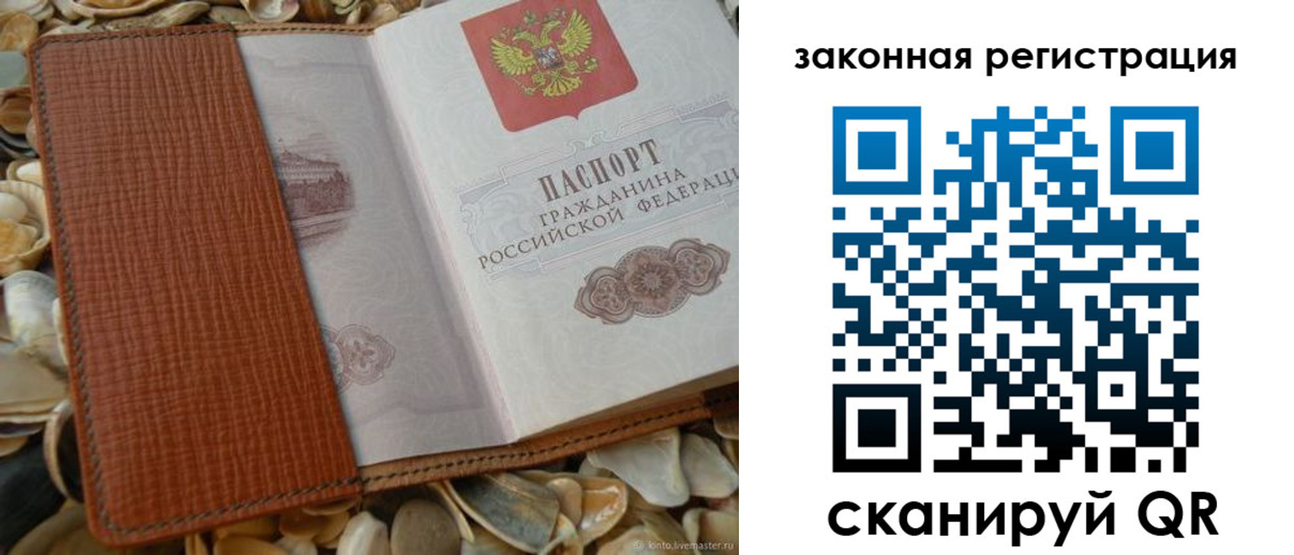 прописка паспорт в Новодвинске